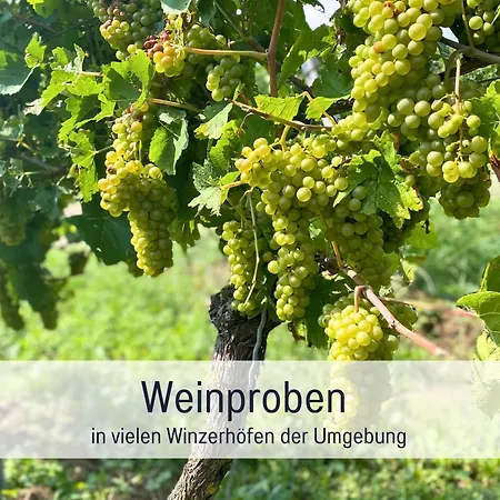 Ferienwohnungen Auszeit Sulzburg Apartmán